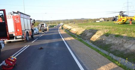 Motocyklista ciężko ranny w wypadku. Winna... kuropatwa