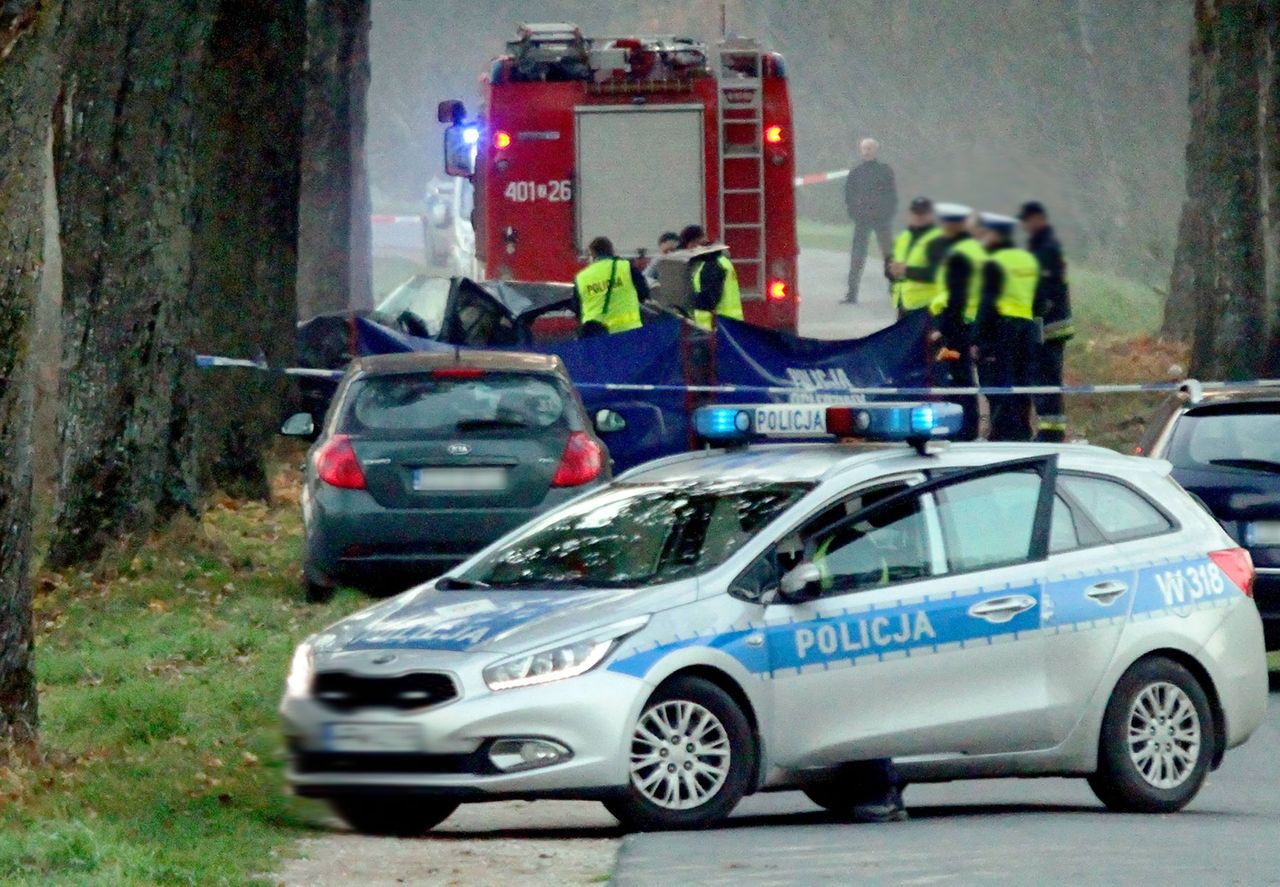 Tragedia przez jelenia. Zabity i 5 rannych pod Wrocławiem