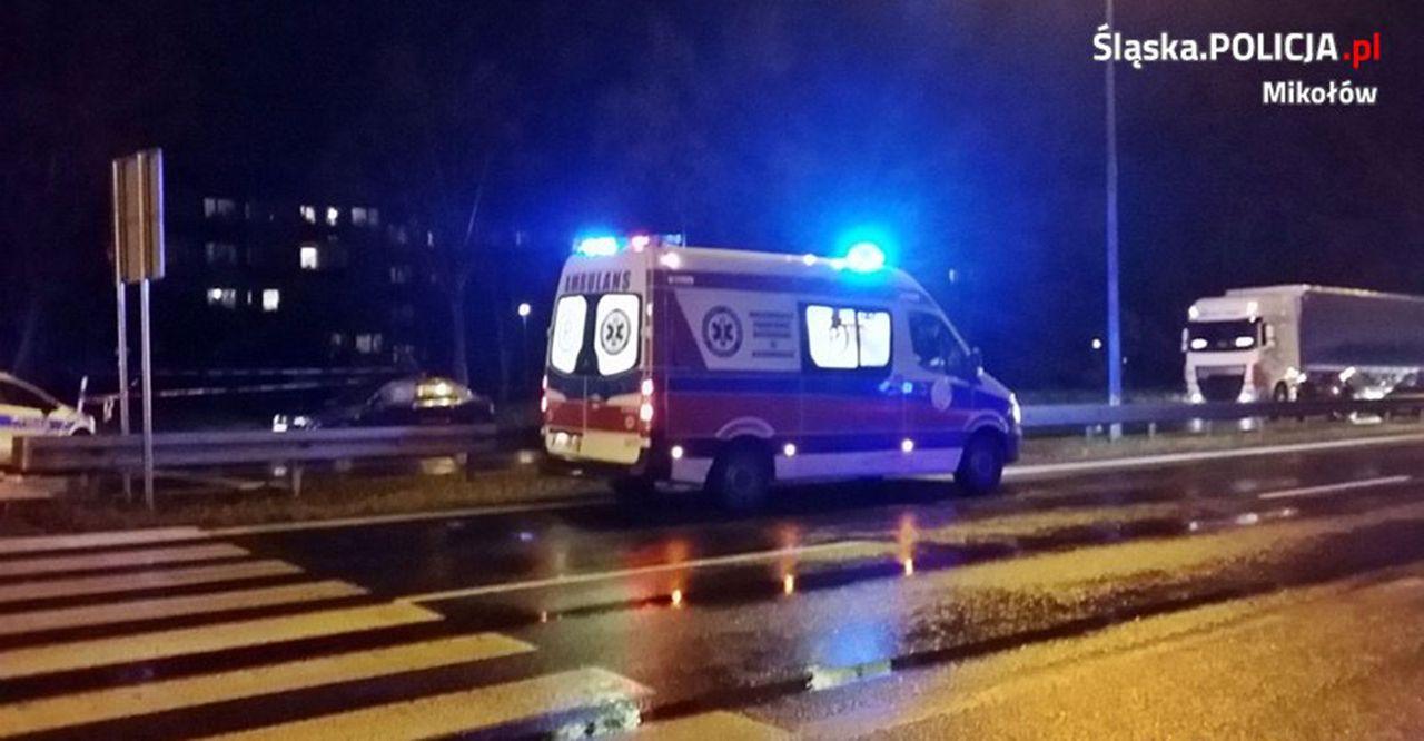 Śmierć nastolatek w Mikołowie. Śledczy chcą aresztu