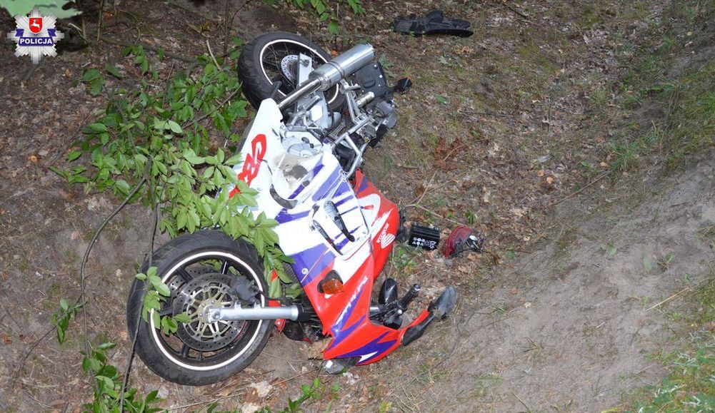Lubelskie: Motocyklista zderzył się z łosiem. 21-latek nie żyje