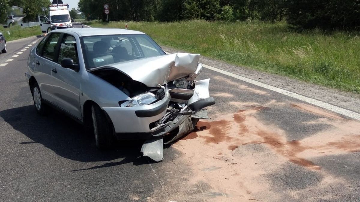 Łoś wbiegł na drogę. Efekt: trzy zdewastowane auta i ranni