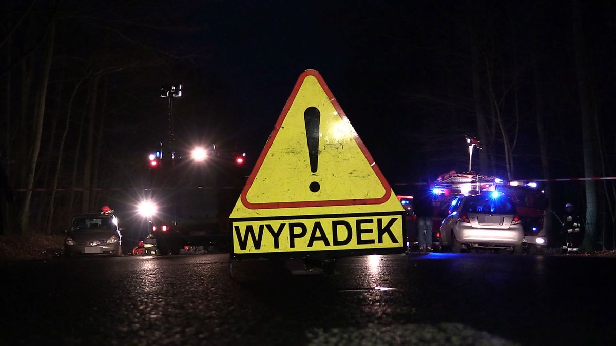 zdjęcie