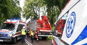 Lubin. Ciężarówka wbiła się w drzewo. Jedna osoba nie żyje, trzy są ranne