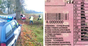 Odebrała prawo jazdy i... wjechała prosto w drzewo