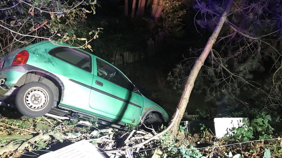 Auto wpadło w poślizg i zjechało do stawu