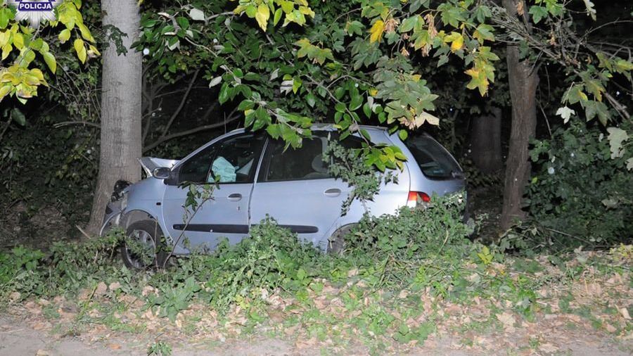 Kierowca chcąc wygonić osę z auta stracił panowanie nad nim i uderzył w drzewo 