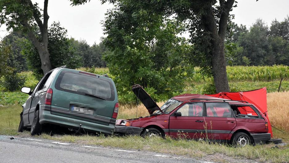 Wypadek w miejscowości Horodyszcze. Zginęła nastolatka