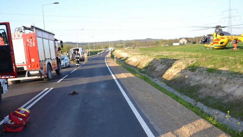 Kuropatwa uderzyła w jadącego motocyklistę