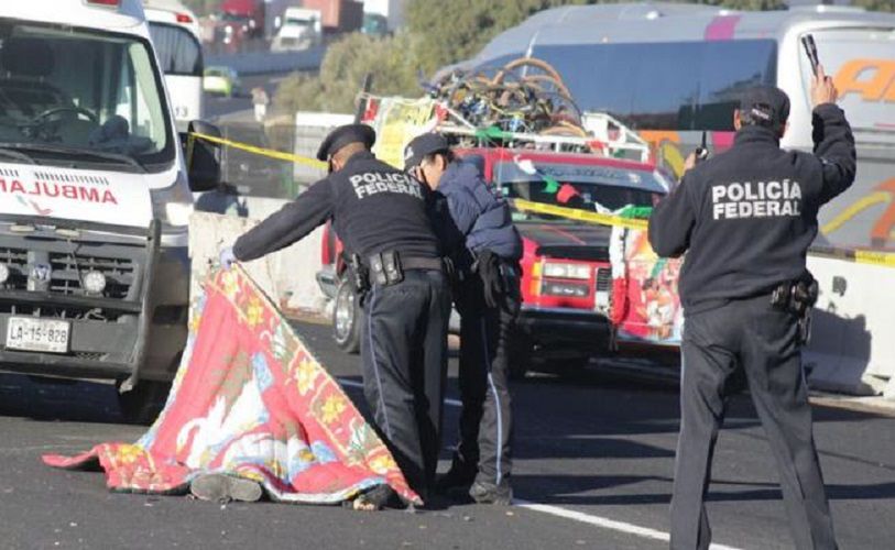 Tragedia pielgrzymów w Meksyku. Zginęło 11 osób. Jest wielu rannych