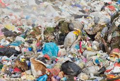 Gminy mogą liczyć na pomoc finansową w usuwaniu nielegalnych odpadów