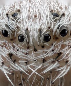 Upał, mundial i pistolety. Najlepsze zdjęcia tygodnia