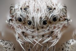 Upał, mundial i pistolety. Najlepsze zdjęcia tygodnia