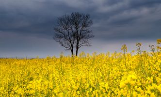 Susza rolnicza ustępuje. Deficyt wody dla roślin zmalał