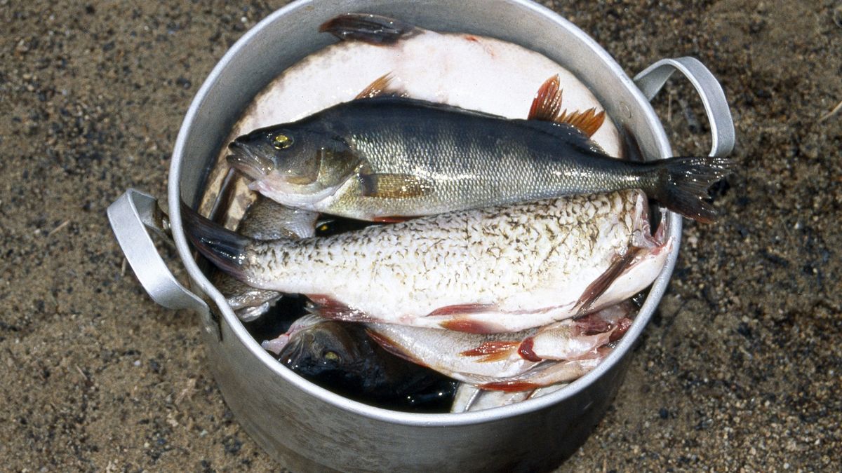 20 ton szczupaka sprowadzonego przez jednego z przedsiębiorców decyzją urzędnika miało trafić do utylizacji. Po odwołaniu się decyzja została jednak zmieniona