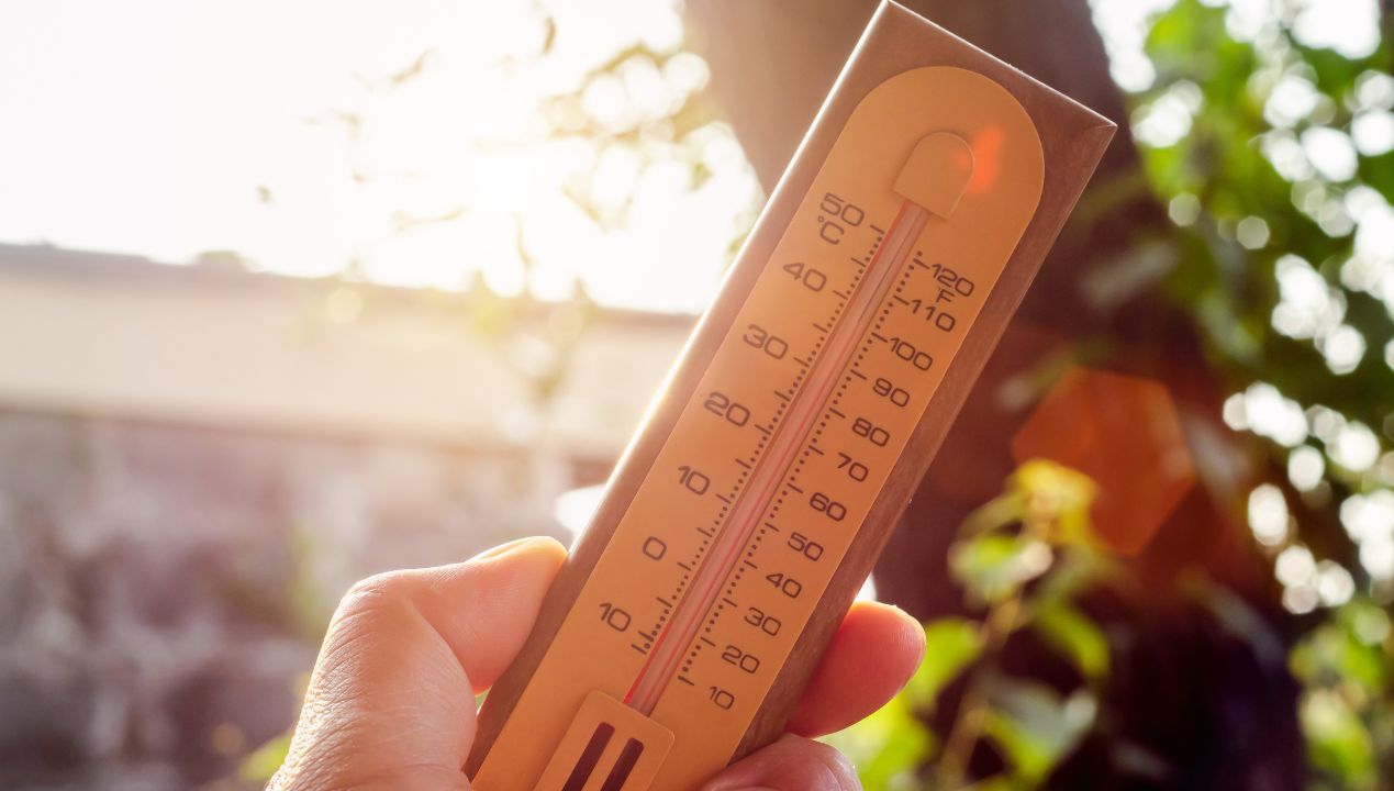 Zawieś w oknie. Obniżysz temperaturę nie wydając ani złotówki na klimatyzację