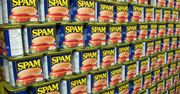 Odkryto spambota z największą liczbą adresów e-mail w bazie