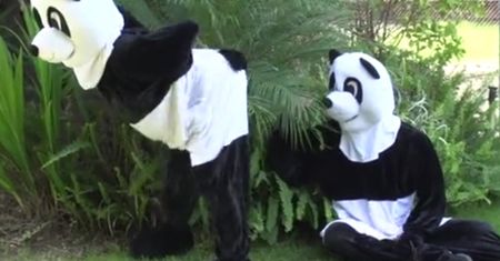 PornHub zachęca: nagraj porno, uratuj pandę