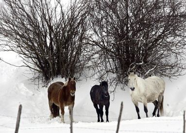 Śnieżyce we Włoszech, Hiszpanii i północnej Afryce