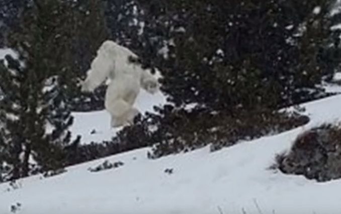 Przebadano ślady "należące" do Yeti. Naukowcy bez złudzeń