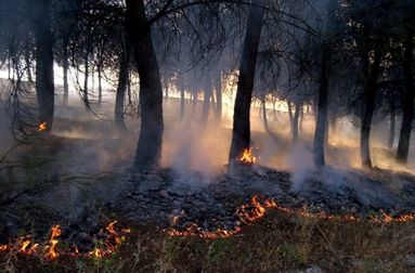 Suche lasy płoną w Hiszpanii