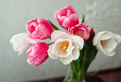 Dzień Matki 2019 – wierszyki, rymowanki i życzenia na Dzień Matki