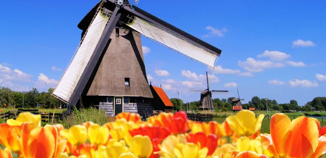 Holandia czeka na Polaków, ile można zarobić?