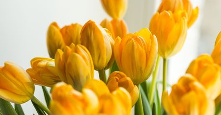 Dzień Matki 2019 – wyjątkowe życzenia na Dzień Matki. Wierszyki i rymowanki dla wszystkich mam