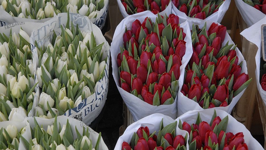 Bukiet od pani Krystyny kosztuje 20-25 zł