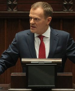 Jak rząd otworzy zawody?