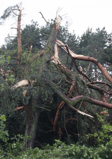 Trąba powietrzna w okolicach Chrzanowa