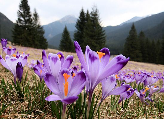 W piątek rekordowe temperatury, a w Wielkanoc?