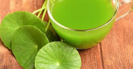 Gotu kola. Właściwości i zastosowanie wąkroty azjatyckiej
