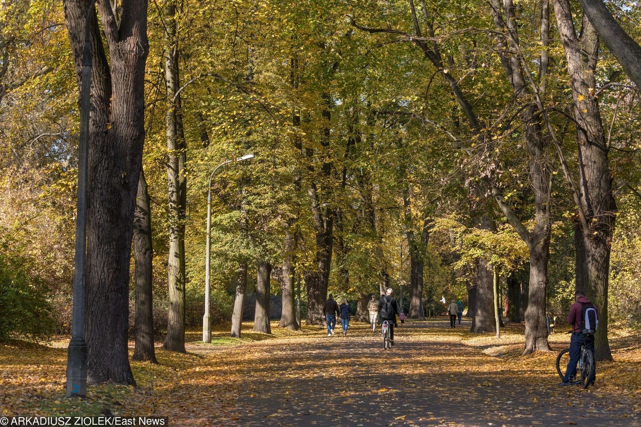 Prognoza pogody na dziś - 30 października. Ciepło w całym kraju. Temperatura jak na wiosnę