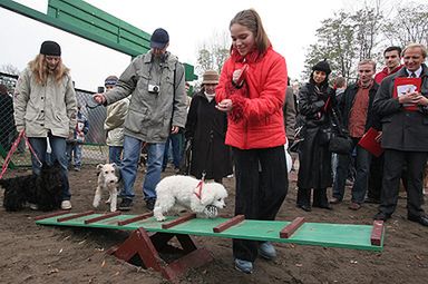 Otwarto park dla psów w Łodzi