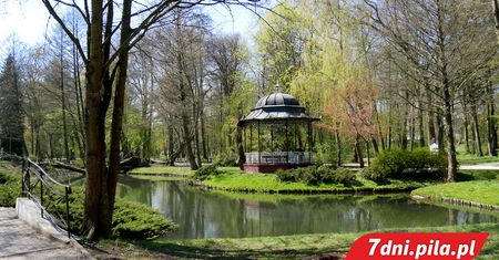 Zobacz jak wygląda Park Miejski w Pile
