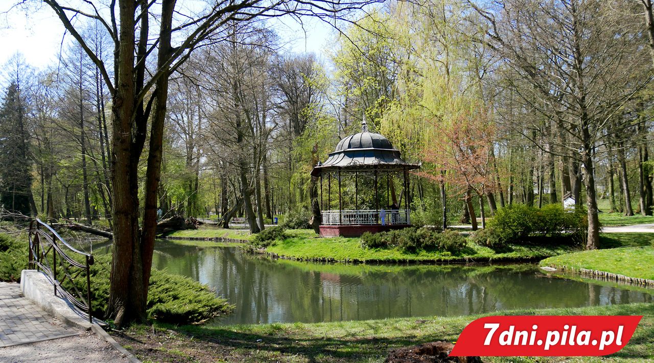 Zobacz jak wygląda Park Miejski w Pile