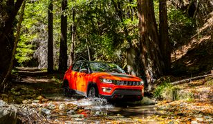 Ryzyko, ale pod kontrolą. Tak dba o ciebie Jeep Compass