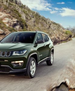 Bezpiecznie do celu. Zawsze