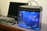 Komputer w akwarium - zrób to sam!