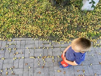 Podziemie adopcyjne zejdzie jeszcze głębiej. Zaostrzenie przepisów