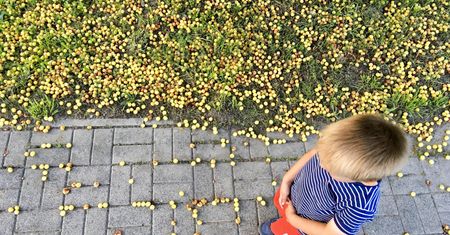 Podziemie adopcyjne zejdzie jeszcze głębiej. Zaostrzenie przepisów