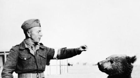 Niedźwiedź Wojtek będzie miał pomnik w Edynburgu