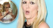 Zdjęcie Britney Spears w stroju sprzed 20 lat wywołało burzę! Amatroski retusz aż bije po oczach!