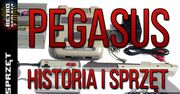Pegasus - Historia Konsoli - Co siedzi w środku tego polskiego famiclona?