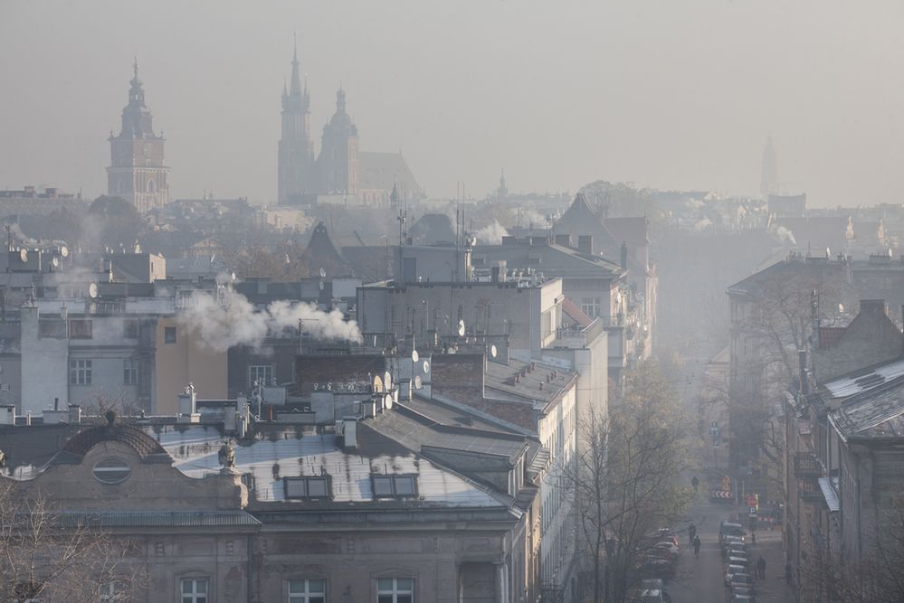 Klęska żywiołowa w Małopolsce. Mieszkańcy mają dość trującego smogu