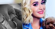 Katy Perry w wychowywaniu córki może liczyć na wyjątkową pomoc. Wcale nie chodzi o Orlando Blooma