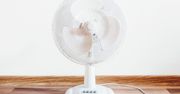 Jaki wentylator kupić na upalne dni?