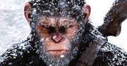 "Wojna o planetę małp": pierwszy fragment największego letniego hitu [TYLKO U NAS]