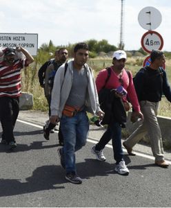 Donald Trump zyskuje w oczach Polaków. My też popieramy zakaz wjazdu muzułmanów