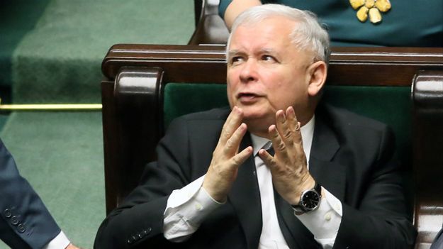 Prezes PiS Jarosław Kaczyński